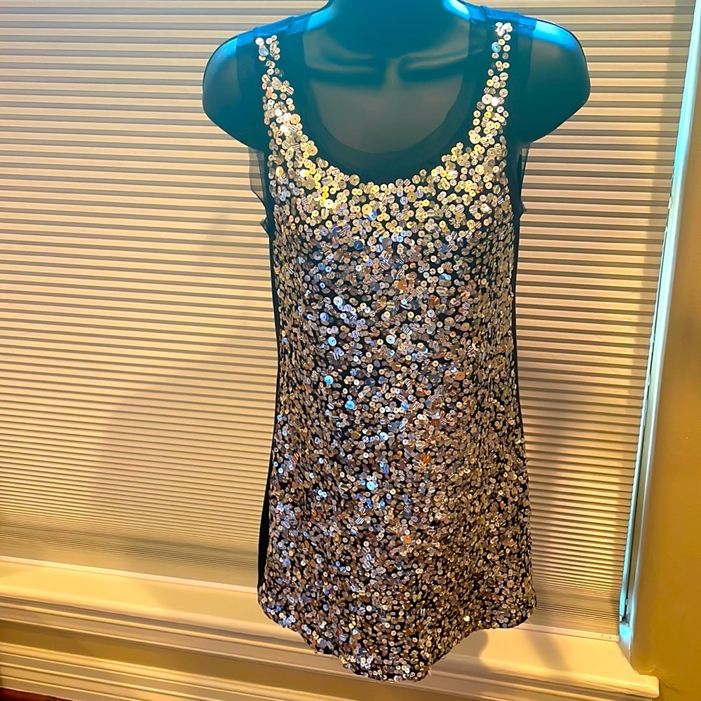Boston Proper Sequin Top